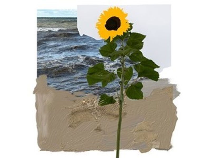 The Land Beneath Our Feet